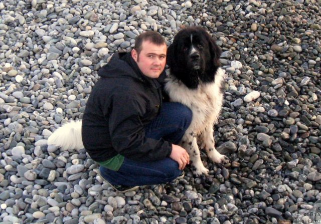 Фото: ньюфаундленд Pitern'yuf Hubba-Bubba (Питерньюф Хубба-Бубба), Vladimir Slepchenko (Владимир Слепченко)