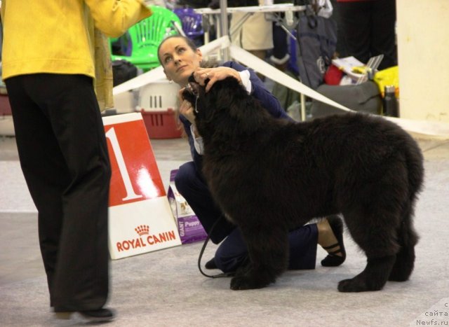 Фотография № 112491