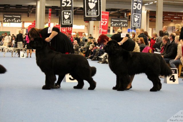 Фотография № 112495