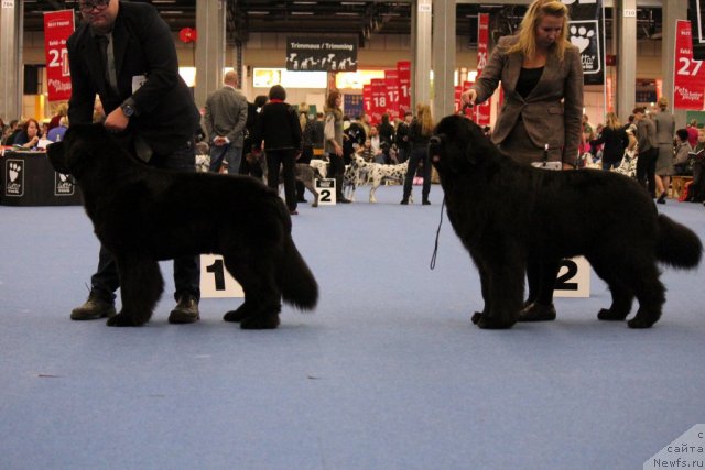 Фотография № 112496