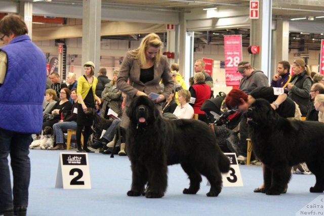 Фотография № 112498