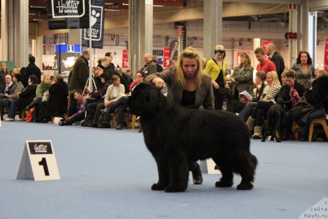 Фотография № 112499