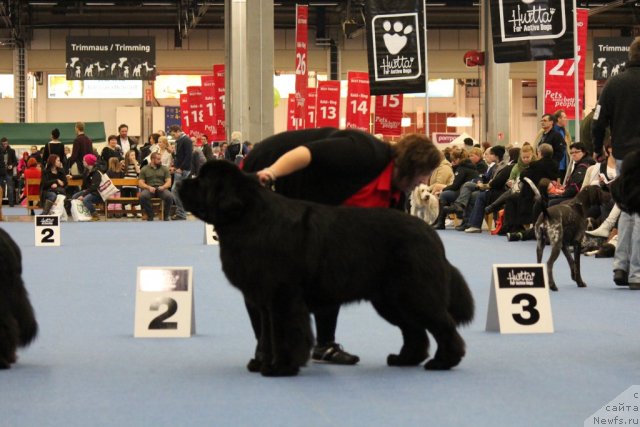 Фотография № 112500