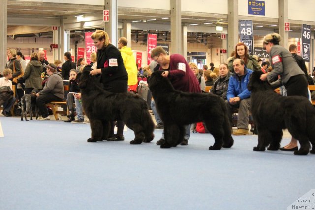 Фотография № 112502