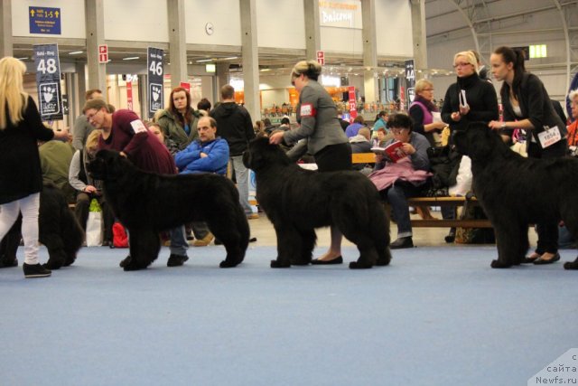 Фотография № 112505