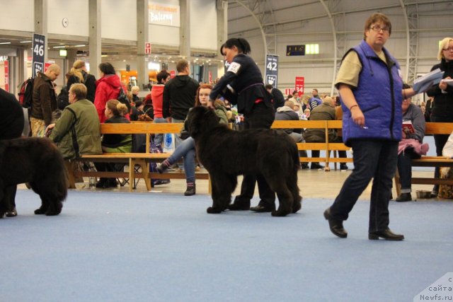 Фотография № 112507