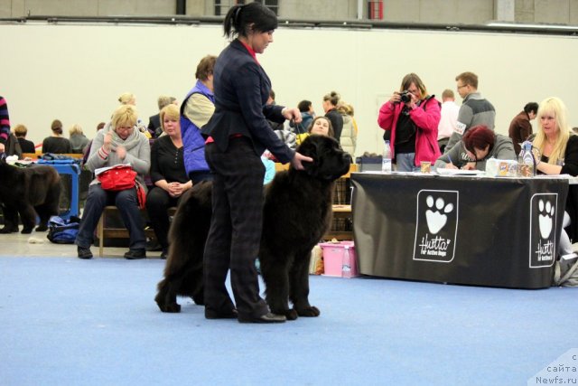 Фотография № 112510