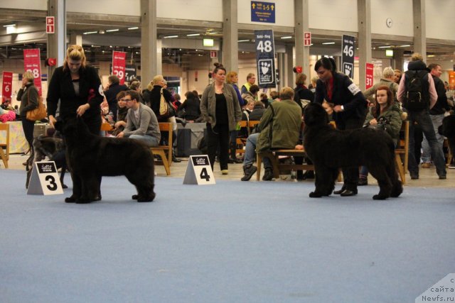 Фотография № 112513