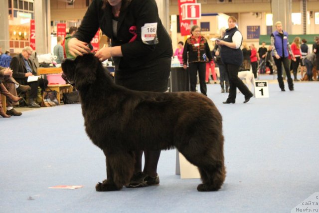 Фотография № 112514