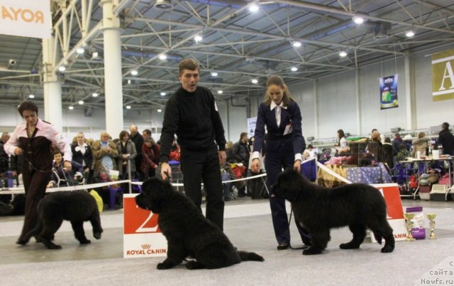 Фотография № 112515