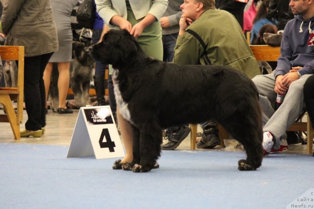 Фотография № 112516