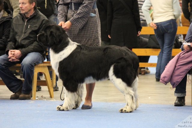 Фотография № 112517