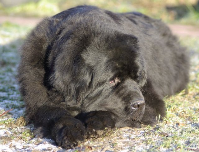 Фотография № 112532