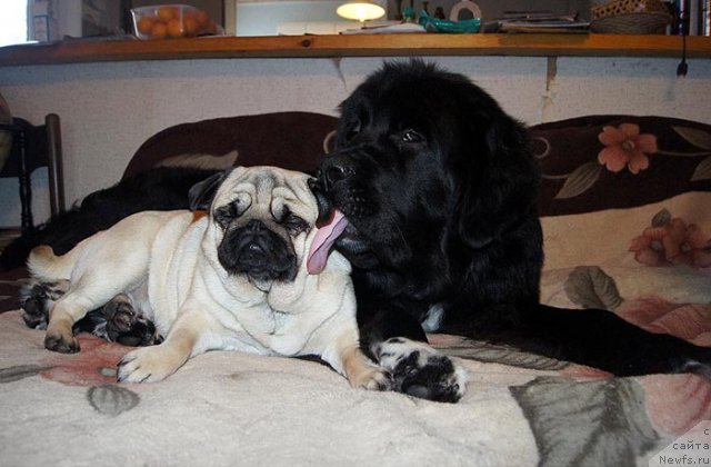 Фотография № 112537