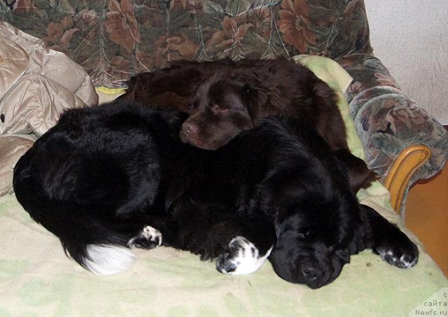 Фотография № 112541