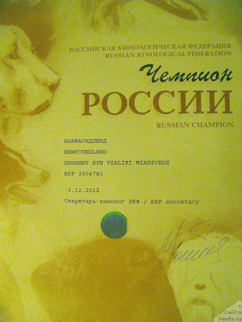 Фотография № 112561