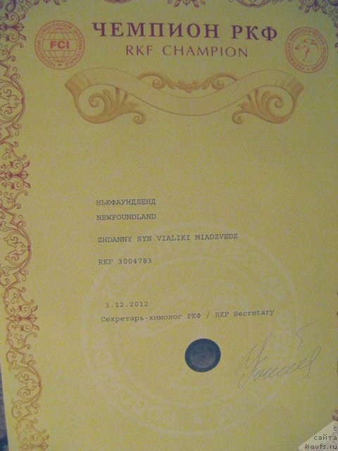 Фотография № 112562