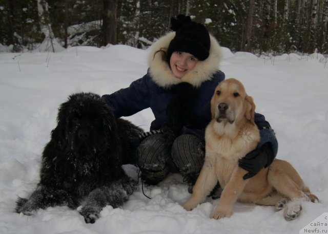 Фотография № 112567