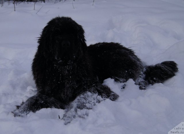 Фотография № 112568