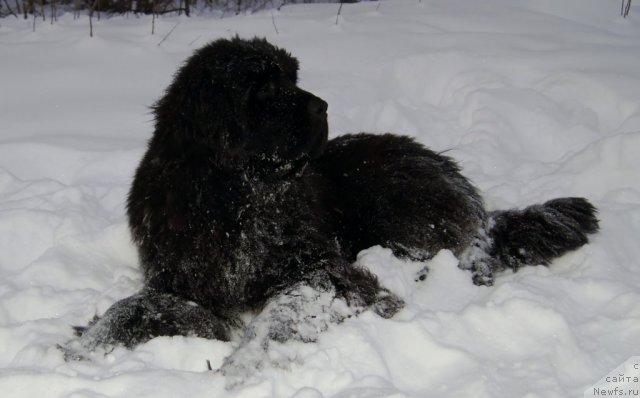 Фотография № 112569