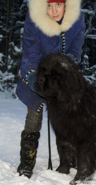 Фотография № 112570