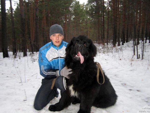 Фотография № 112573