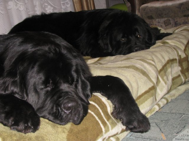 Фотография № 112574