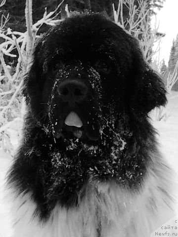 Фотография № 112579