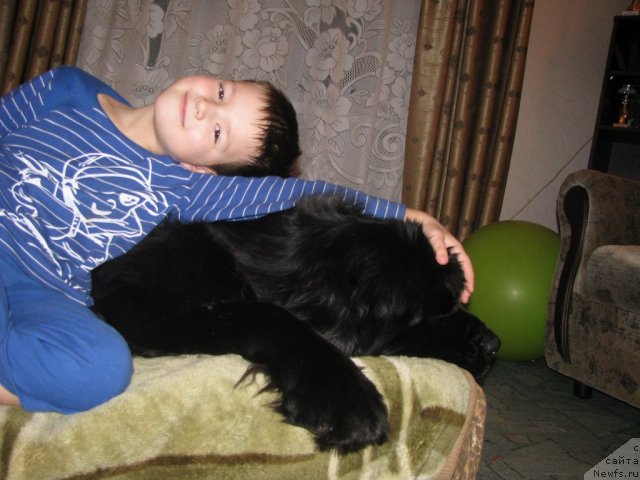 Фотография № 112581