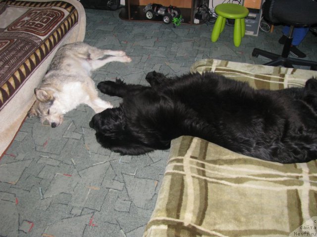 Фотография № 112584