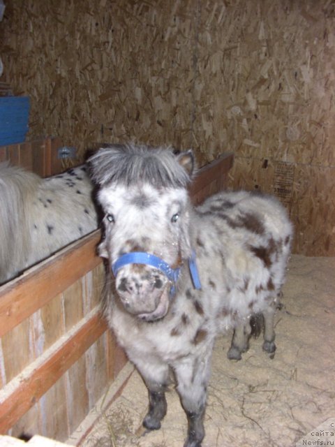 Фотография № 112586