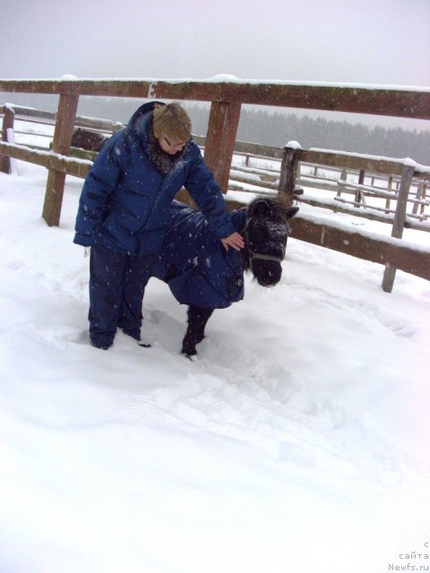 Фотография № 112588