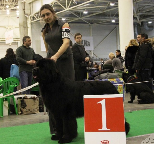 Фотография № 112632