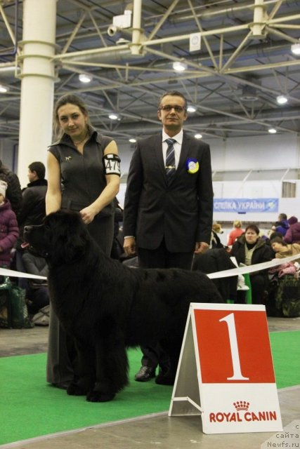 Фотография № 112637