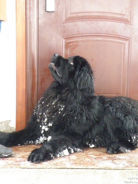 Фотография № 112645