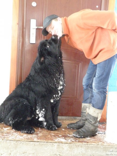 Фотография № 112646