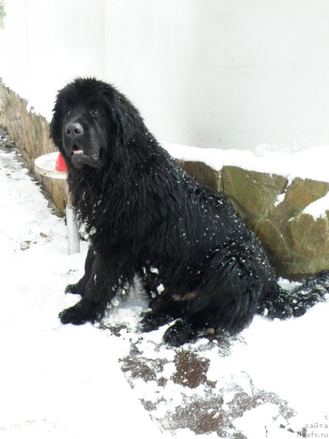 Фотография № 112647