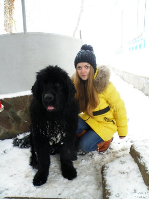 Фотография № 112648