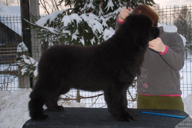 Фотография № 112660