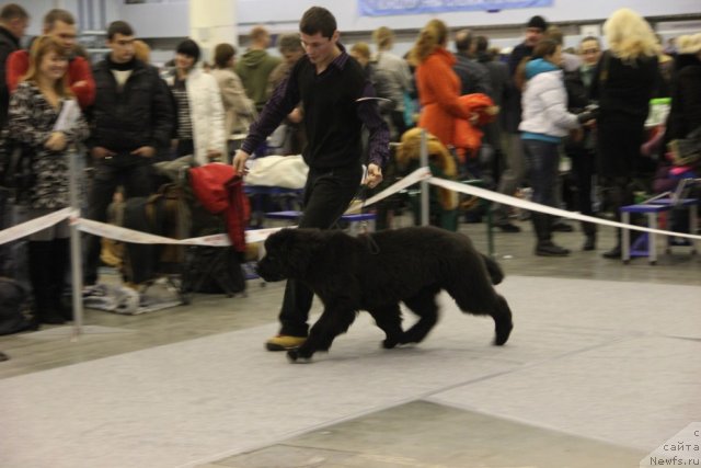 Фотография № 112669