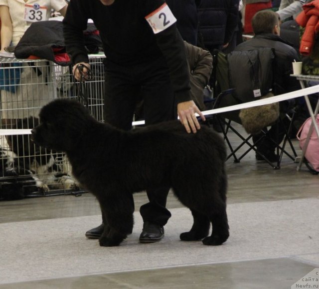 Фотография № 112670