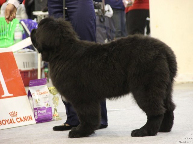 Фотография № 112677