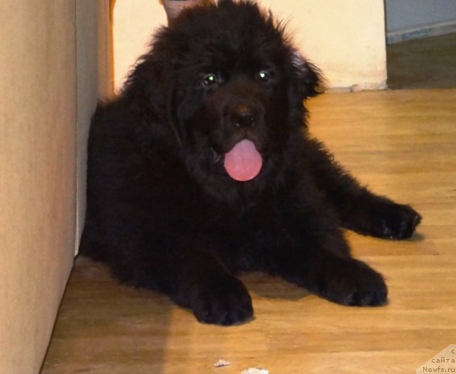 Фотография № 112680