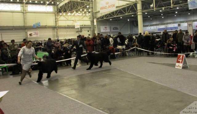 Фотография № 112681