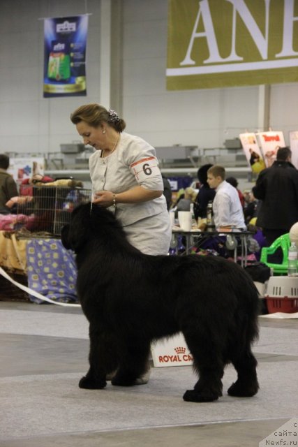 Фотография № 112682