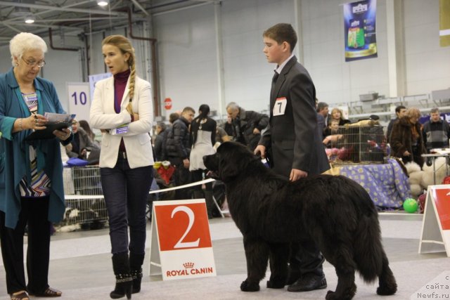 Фотография № 112683