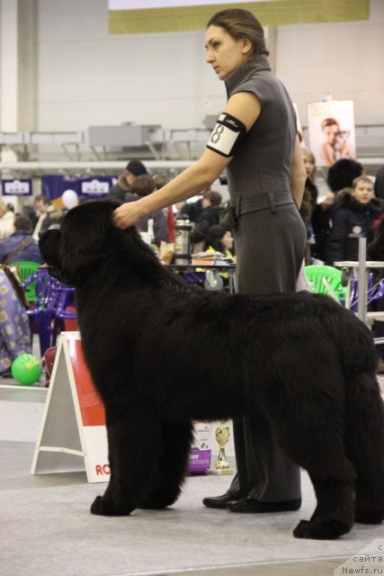 Фотография № 112685