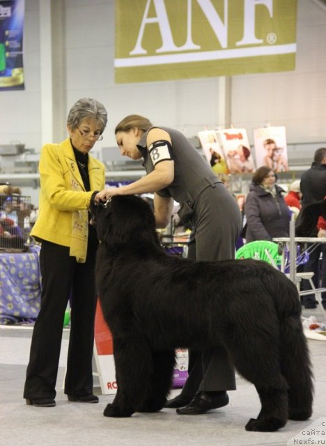 Фотография № 112686