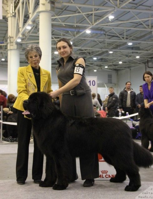 Фотография № 112687