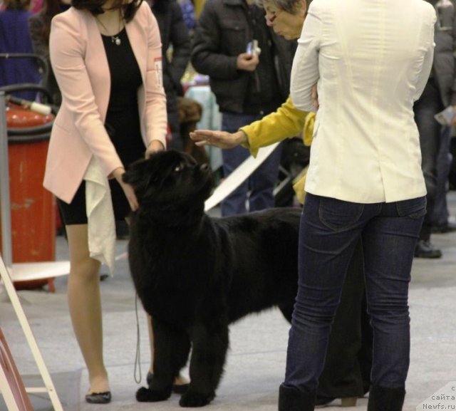 Фотография № 112692